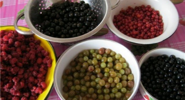 Lahodný recept na výrobu angreštového a malinového džemu na zimu